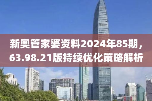 新奥管家婆资料2024年85期，63.98.21版持续优化策略解析