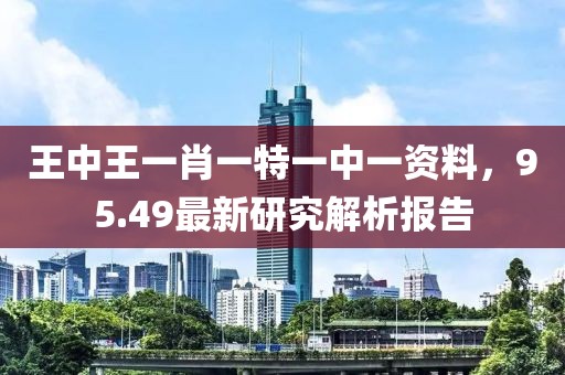 王中王一肖一特一中一资料，95.49最新研究解析报告