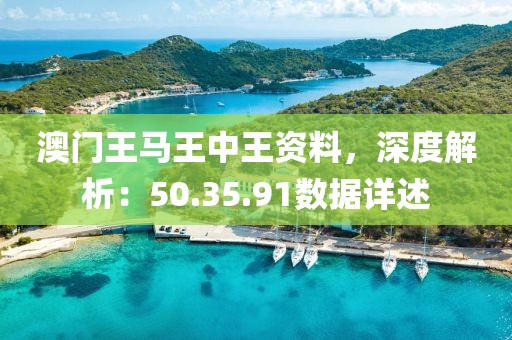 澳门王马王中王资料，深度解析：50.35.91数据详述