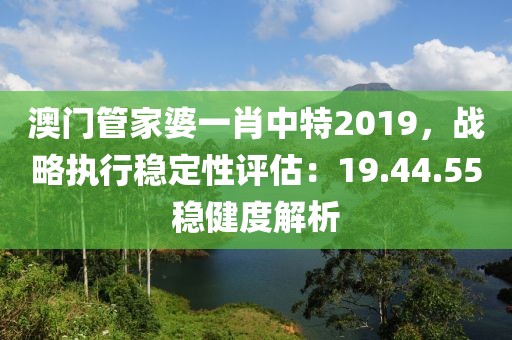 澳门管家婆一肖中特2019，战略执行稳定性评估：19.44.55稳健度解析