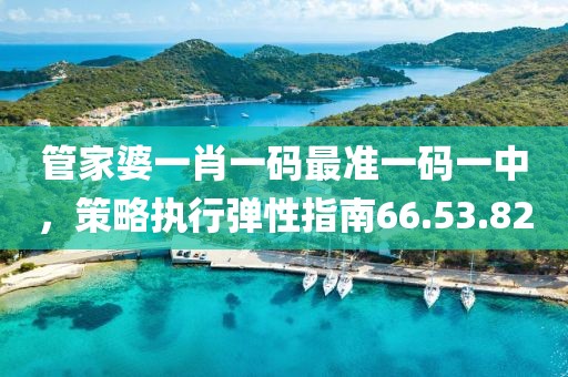 管家婆一肖一码最准一码一中，策略执行弹性指南66.53.82