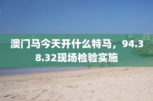 澳门马今天开什么特马，94.38.32现场检验实施