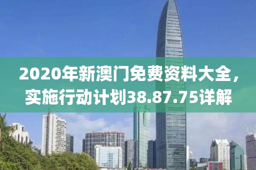2020年新澳门免费资料大全，实施行动计划38.87.75详解
