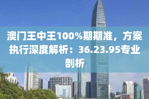 澳门王中王100%期期准，方案执行深度解析：36.23.95专业剖析