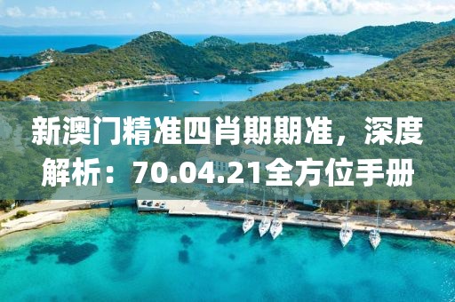新澳门精准四肖期期准，深度解析：70.04.21全方位手册