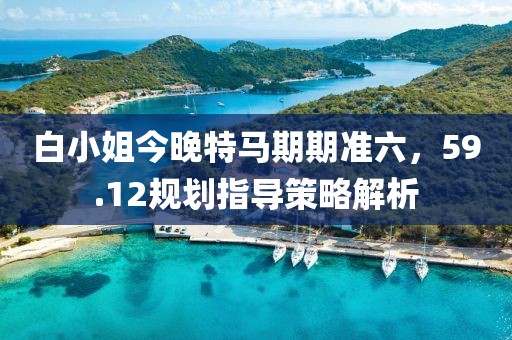 白小姐今晚特马期期准六，59.12规划指导策略解析