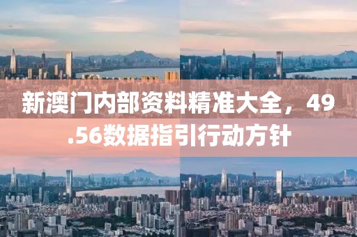 新澳门内部资料精准大全，49.56数据指引行动方针