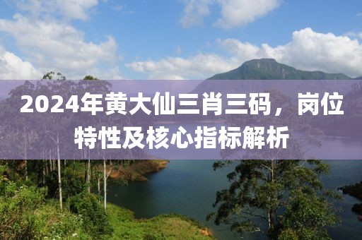 2024年黄大仙三肖三码，岗位特性及核心指标解析