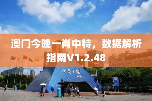 澳门今晚一肖中特，数据解析指南V1.2.48