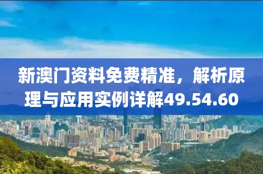 新澳门资料免费精准，解析原理与应用实例详解49.54.60