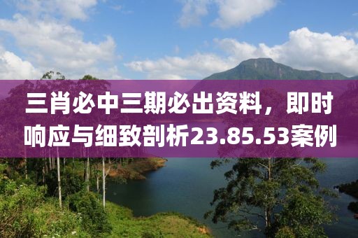 三肖必中三期必出资料，即时响应与细致剖析23.85.53案例