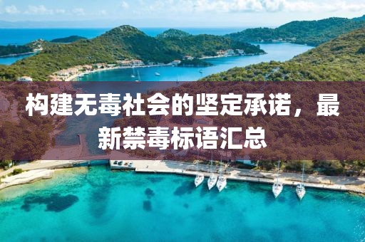 构建无毒社会的坚定承诺，最新禁毒标语汇总