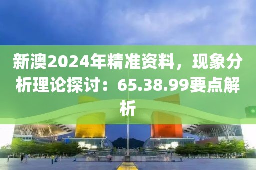 新澳2024年精准资料，现象分析理论探讨：65.38.99要点解析