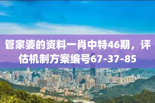 管家婆的资料一肖中特46期，评估机制方案编号67-37-85