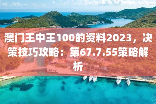 澳门王中王100的资料2023，决策技巧攻略：第67.7.55策略解析
