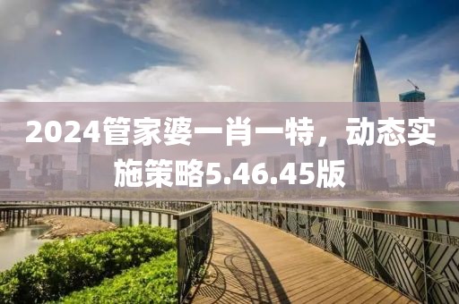 2024管家婆一肖一特，动态实施策略5.46.45版