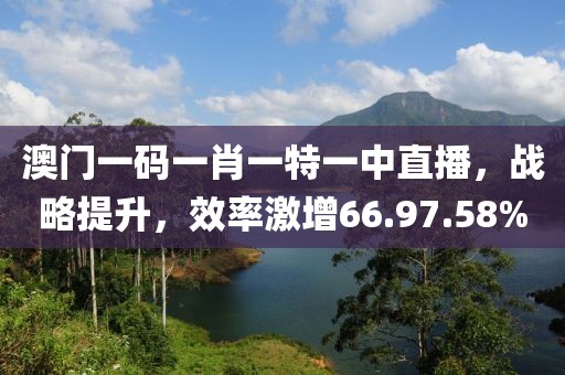 澳门一码一肖一特一中直播，战略提升，效率激增66.97.58%