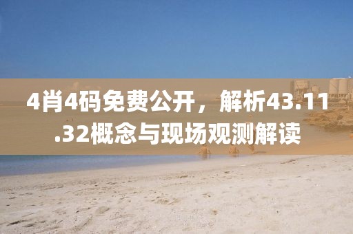 4肖4码免费公开，解析43.11.32概念与现场观测解读