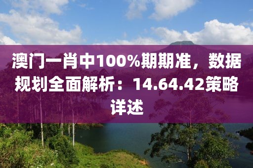 澳门一肖中100%期期准，数据规划全面解析：14.64.42策略详述