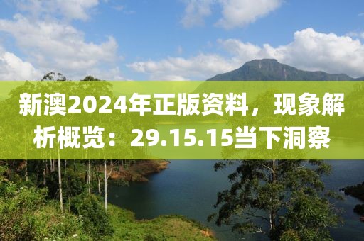 新澳2024年正版资料，现象解析概览：29.15.15当下洞察
