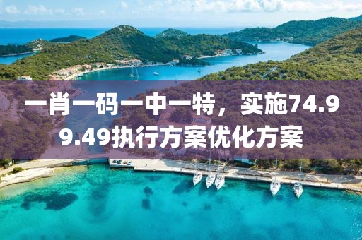 一肖一码一中一特，实施74.99.49执行方案优化方案