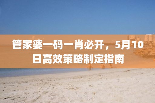 管家婆一码一肖必开，5月10日高效策略制定指南