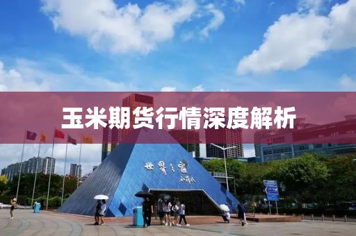 玉米期货行情深度解析