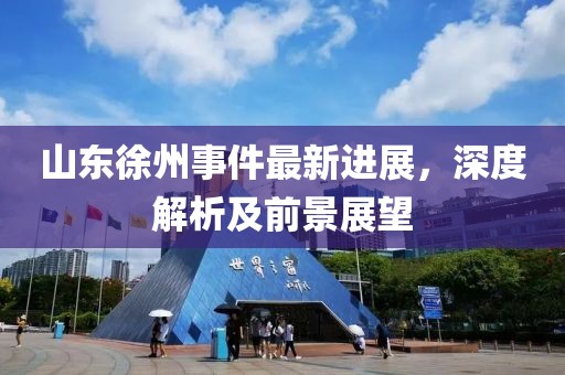 山东徐州事件最新进展，深度解析及前景展望
