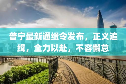 普宁最新通缉令发布，正义追缉，全力以赴，不容懈怠