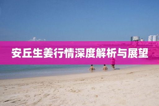 安丘生姜行情深度解析与展望