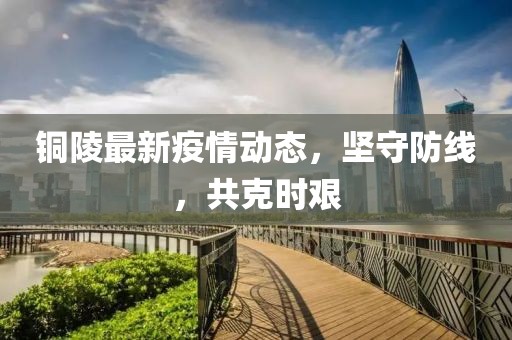 铜陵最新疫情动态，坚守防线，共克时艰