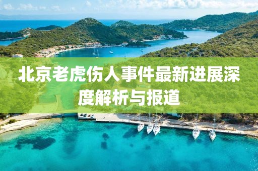 北京老虎伤人事件最新进展深度解析与报道