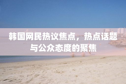 韩国网民热议焦点，热点话题与公众态度的聚焦