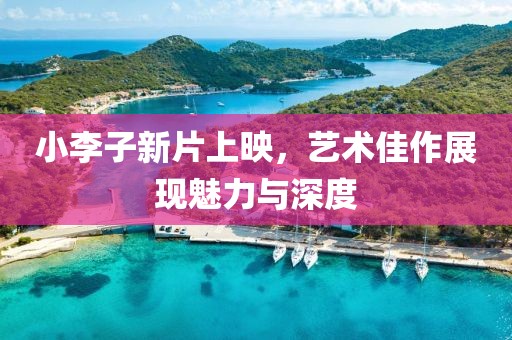 小李子新片上映，艺术佳作展现魅力与深度