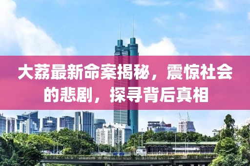 大荔最新命案揭秘，震惊社会的悲剧，探寻背后真相