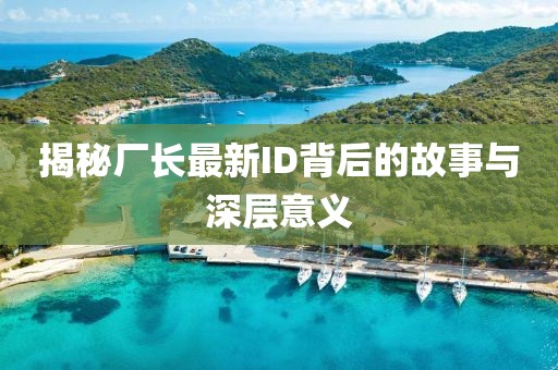 揭秘厂长最新ID背后的故事与深层意义