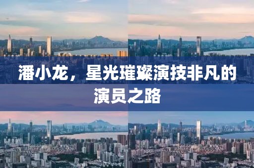 潘小龙，星光璀璨演技非凡的演员之路