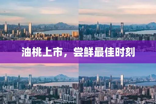 锺离如波 第4页
