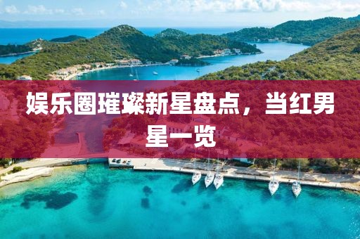 娱乐圈璀璨新星盘点，当红男星一览