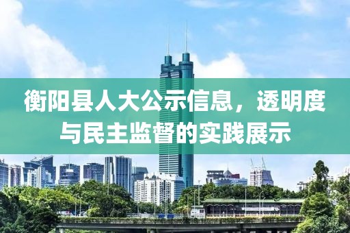 衡阳县人大公示信息，透明度与民主监督的实践展示