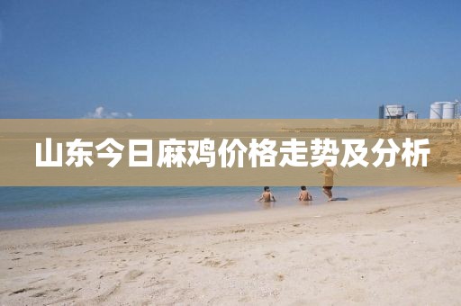 山东今日麻鸡价格走势及分析