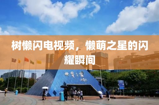 树懒闪电视频，懒萌之星的闪耀瞬间