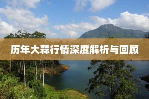 历年大蒜行情深度解析与回顾