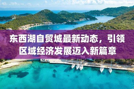 东西湖自贸城最新动态，引领区域经济发展迈入新篇章