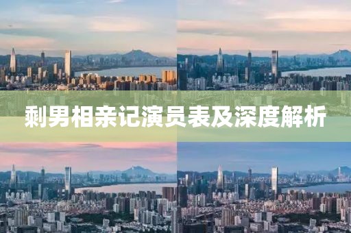 剩男相亲记演员表及深度解析