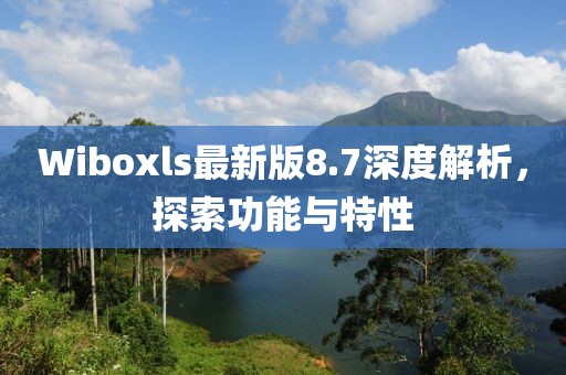 Wiboxls最新版8.7深度解析，探索功能与特性