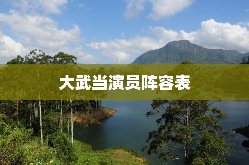 大武当演员阵容表