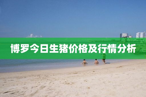 博罗今日生猪价格及行情分析