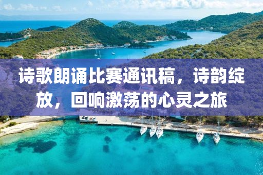 诗歌朗诵比赛通讯稿，诗韵绽放，回响激荡的心灵之旅