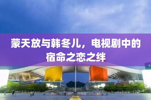 蒙天放与韩冬儿，电视剧中的宿命之恋之绊